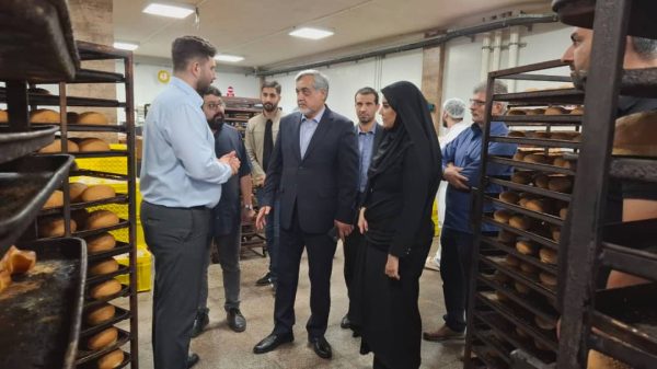 توسعه واحدهای نان صنعتی به تأمین پایدار نان کمک می‌کند