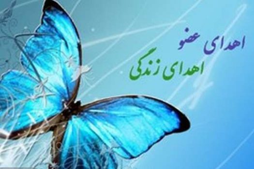 شانزدهمین اهدای عضو و پیوند سالجاری در گیلان انجام شد