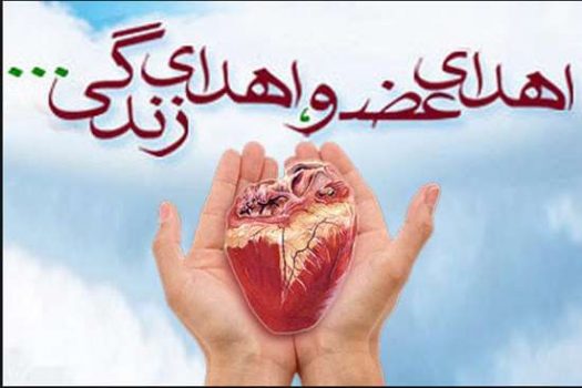 نجات جان دو بیمار با اهدای عضو یک جوان مرگ مغزی در گیلان