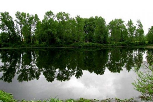تالاب عینک رشت سرمایه ای مغفول مانده