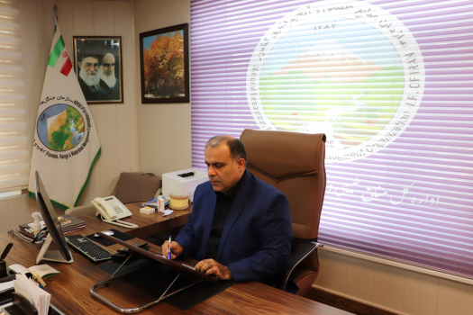 از ابتدای سال ۱۴۰۰تاکنون ۷۵ هکتار طرح جنگل کاری ،باهدف حفظ ،احیا،غنی سازی ،نگهداری وتوسعه جنگل انجام شده است