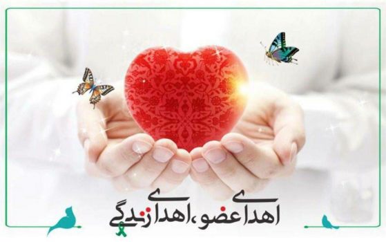 اهدای عضو جوان اهل کوچصفهان به بیماران نیازمند اهدای عضو جوان اهل کوچصفهان به بیماران نیازمند
