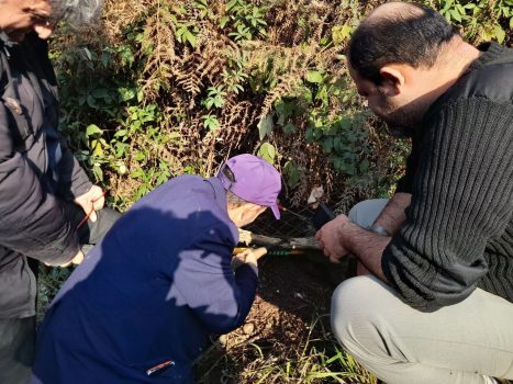 نجات  و رها سازی یک  قلاده گربه جنگلی از تله سیمی در رودسر