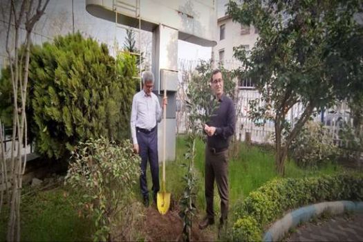 سرپرست دانشگاه علوم پزشکی گیلان، سه نهال میوه غرس کرد سرپرست دانشگاه علوم پزشکی گیلان، سه نهال میوه غرس کرد