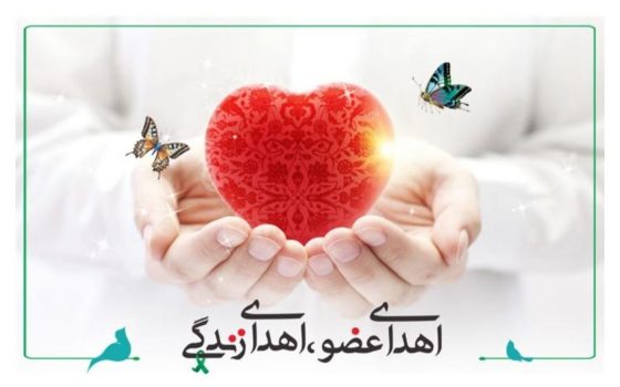 چهارمین اهدای عضو و پیوند در گیلان انجام شد