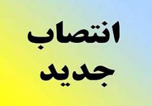 سرپرست اداره بیمه گری ودرآمد منصوب شد سرپرست اداره بیمه گری ودرآمد منصوب شد