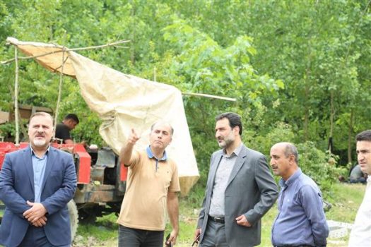 عملیات احداث36 برج خط چهارمداره غرب رشت – انزلی – پره سر با موفقیت به اتمام رسید عملیات احداث۳۶ برج خط چهارمداره غرب رشت – انزلی – پره سر با موفقیت به اتمام رسید