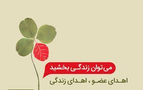 نجات زندگی بیماران نیازمند پیوند عضو توسط بانوی 40 ساله گیلانی نجات زندگی بیماران نیازمند پیوند عضو توسط بانوی ۴۰ ساله گیلانی