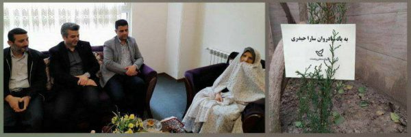 کاشت یک اصله درخت به نام بانوی خدمت پست گیلان کاشت یک اصله درخت به نام بانوی خدمت پست گیلان