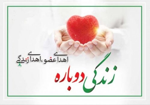 هفدهمین اهدای عضو سال جاری در استان گیلان هفدهمین اهدای عضو سال جاری در استان گیلان