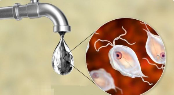توصیههایی جهت افزایش آگاهی برای پیشگیری از بروز بیماریهای رودهای توصیههایی جهت افزایش آگاهی برای پیشگیری از بروز بیماریهای رودهای