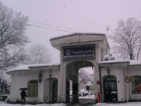 مراجعه بیش از ۵۰۰بیمار به پورسینا در روزهای بحرانی استان مراجعه بیش از ۵۰۰بیمار به پورسینا در روزهای بحرانی استان