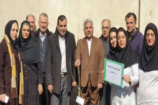 ۲۵۰ اصله نهال در واحدهای تابعه دانشگاه علوم پزشکی گیلان غرس شد