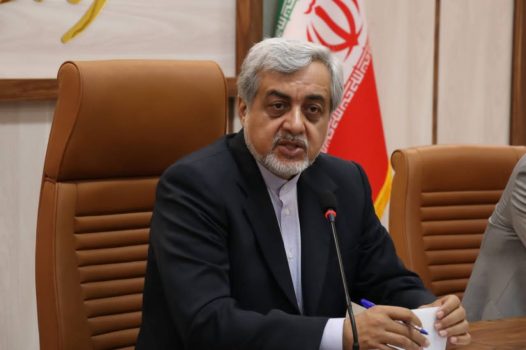 رسانه‌‌ها در حوزه پشه آئدس فعالانه اطلاع رسانی کنند