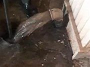 شستشوی بیش از ۲۷۰۰ متر مكعب مخزن ذخیره آب شرب در سطح شهرستان لاهیجان