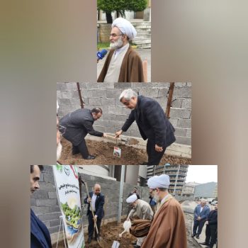 درختکاری از اقدام نمادین به فرهنگ عمومی تبدیل شود