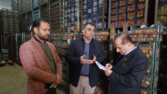 امسال در خصوص توزیع میوه هیچ محدودیتی نداریم