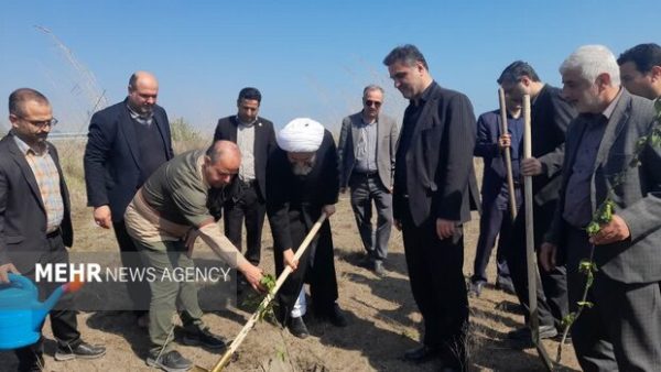 بیش از ۹ نهالستان فعال در استان گیلان وجود دارد