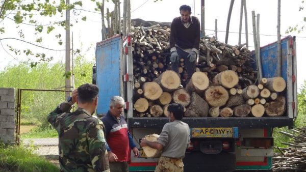 کشف بیش از ۲۶ تن چوب قاچاق به ارزش ۳۰۰ میلیون تومان در لنگرود