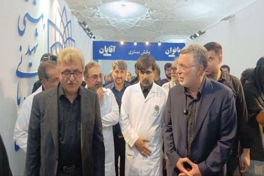 بازدید از بیمارستان‌های موقت در معیت وزیر بهداشت