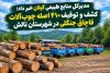کشف و توقیف ۴۱۰ اصله چوب‌آلات قاچاق جنگلی در شهرستان تالش