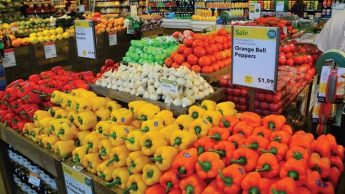 محصولات کشاورزی شناسنامه دار؛ شخصیت ایران در بازارهای بین المللی